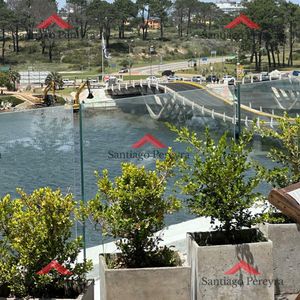 Alquiler Temporal En La Barra, 3 Dormitorios Y Dependencia De Servicio.