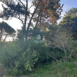 Lindo Lote En Venta En Pinares Apto Para Propiedad Horizontal