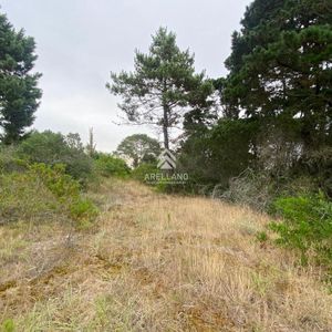 Venta Terrenos Piedras Del Chileno, Punta Del Este