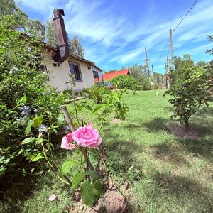 Casa En Venta En San Luis