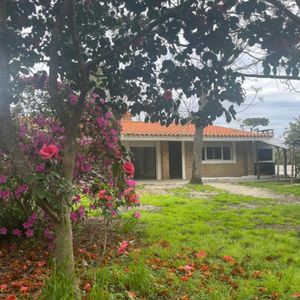 Venta 2 Casa En Un Mismo Padron En Las Toscas