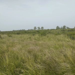 Venta Campo 3,3 Has En Santa Rosa