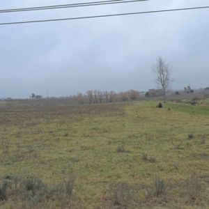 Venta Campo 8 Has - Inversores Fraccionamiento En Las Piedras