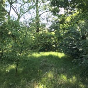 Venta Terreno Zona Carone Solymar