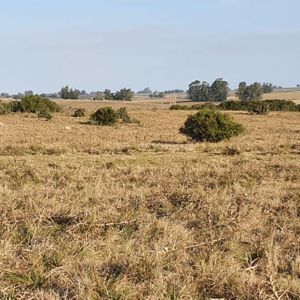 Chacra En Venta Jose Ignacio Punta Del Este