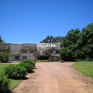 Chacra En Venta En Punta Ballena