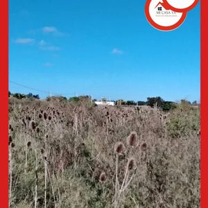 Venta Campo Paso De La Arena