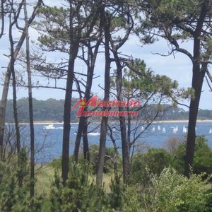 Apartamento De Un Dormitorio En Venta En Punta Del Este