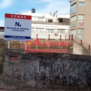 Ideal Para Proyecto