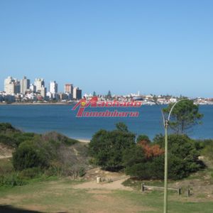 Frente