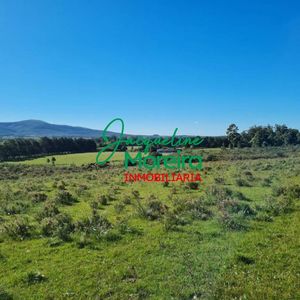 Exclusiva Finca De 10 Hectáreas Con Casco Histórico Y Vistas Al Mar En Playa Verde