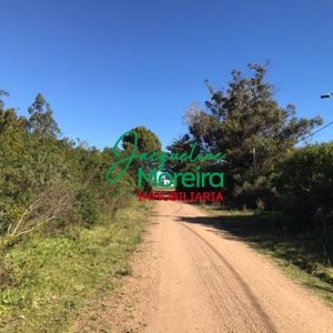 Oportunidad: Chacra En Venta De Media Hectárea De Terreno En Zona Rural Playa Verde