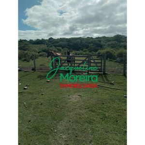 Chacra "la Gateada" En Pan De Azucar, 7 Hectareas A Pocos Minutos De La Ciudad.