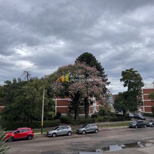 Venta Apartamento 2 Dormitorios Buceo