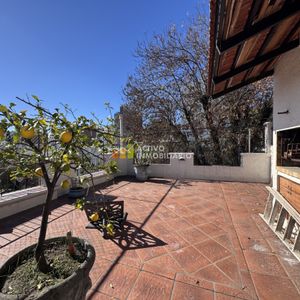 Venta Casa 3 Dormitorios + Terraza Con Parrillero - Parque Rodó