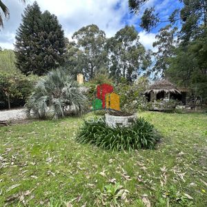 Venta Casa En Portezuelo, Punta Ballena