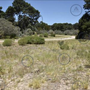 Venta De Lote De 1805 M2 En Barrio Cerrado, Acres De Solanas