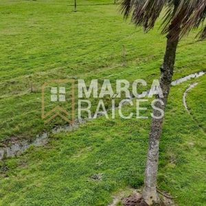 Venta Campo Rincón Bravo, Río San Luis Rocha Uruguay