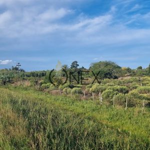 Vendo Terreno Sobre Ruta 9, Rocha.