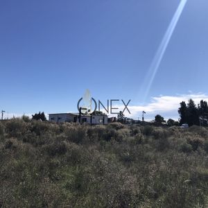 Se Vende Chacra De 4ha Más Casa, Sobre Ruta 107. Canelón Chico.