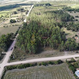 Hectarea Zona Guerrero Paysandu