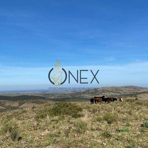 Se Vende Chacra En Castillos, Rocha