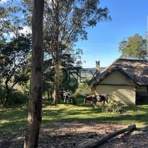 Se Vende Hermosa Casa En Villa Sereana