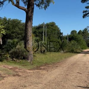 Se Vende Terreno En Ocean Park