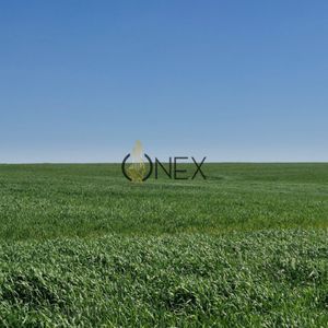 Campo En Venta En Arroyo Negro | 120 Hectáreas