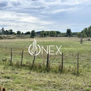 Se Alquila Chacra En Cumbres De Carrasco