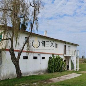 Se Vende Campo Agricola Ganadero En San Ramón Canelones