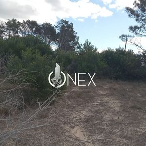 Terreno En Barra De Chuy Puimayen