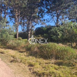 Se Vende Terreno En Punta Del Diablo