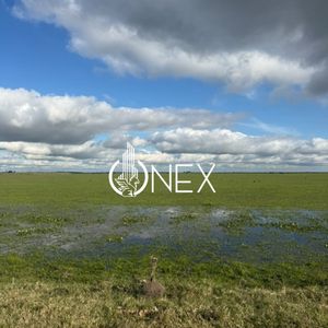 \"553 Hectáreas En Exclusividad. Campo De Excelentes Características Productivas.\" ????