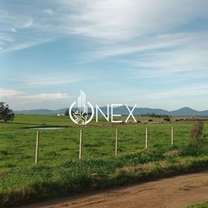 Chacra De Media Hectárea En Cuchilla Altla