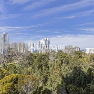 Alquiler Apartamento Dos Dormitorios Punta Del Este Edificio Ocean Drive