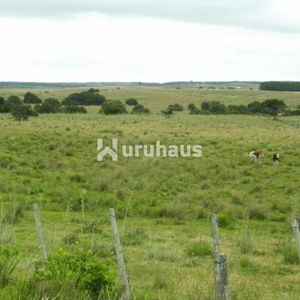 Venta Espectacular Chacra En Garzon Con Costa Al Arroyo