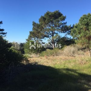 Venta Terreno Arenas De Jose Ignacio Calle Comercial