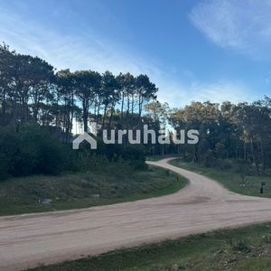 Lote En Venta Reserva Montoya La Barra