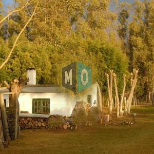 Chacra En Venta Ubicada A 2 Km De La Ciudad De Aigua.