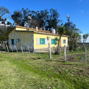 Venta Campo Agricola Ganadero 296há (9 Padrones) Arrozal Treinta Y Tres