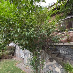 Venta De Terreno Con Casa En La Blanqueada Ideal Proyecto Inmobiliario