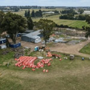 Alquiler Predio Logistico De 15.000 M² +2 Galpones - Paso De La Arena Montevideo