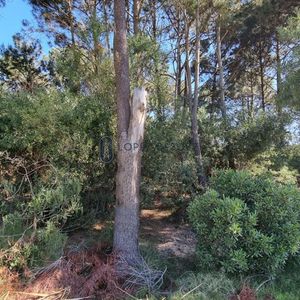 Venta De Terreno En Punta Colorada, Piriapolis - Superficie De 1.024m