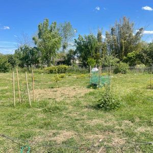 Terreno En Venta De 2227m2 Ubicado En Rocha