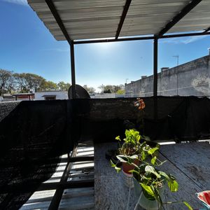 Venta Con Renta Casa Ph Interno 2 O 3 Dormitorios Brazo Oriental