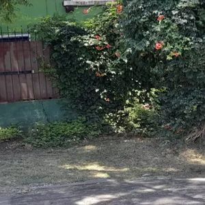 Venta Con Renta 8,2% 2 Casas La Teja Ideal Inversion