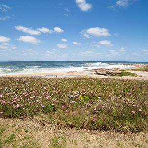 Casa Con Salida Directa A La Playa En José Ignacio.