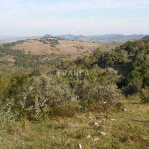 Chacra De 196 Hs En Venta A Minutos De Aiguá,