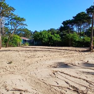 Terreno En Venta En Punta Del Diablo.